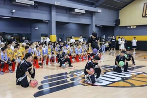 篮球训练营训练视频全集高清